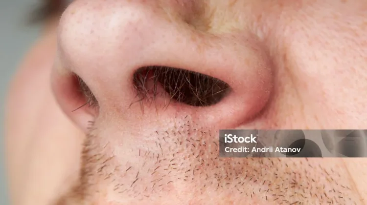 Manfaat Penting Bulu Hidung Bagi Kesehatan Pernapasan