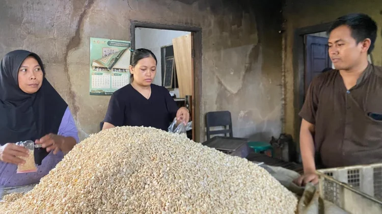 Harga Kedelai Naik, Perajin Tempe Tetap Pakai Kedelai Impor