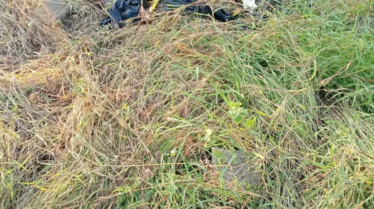 Suwardi Penggembala Sapi Ditemukan Tinggal Tulang Belulang