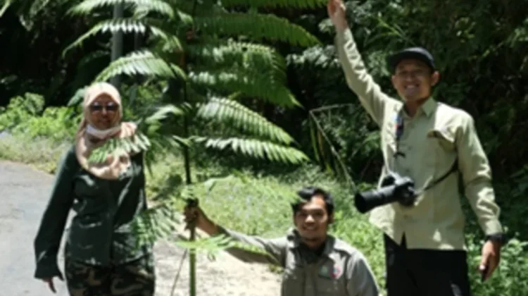 Menembus Jejak Zaman Dinosaurus, Kisah Riset Paku Purba