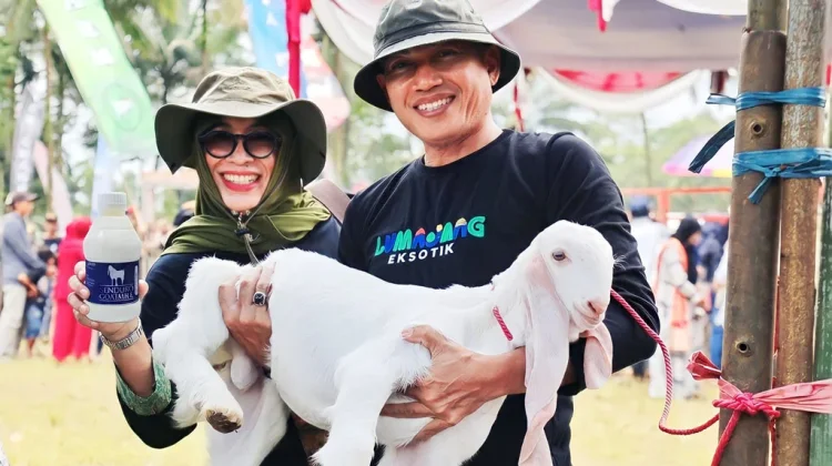 Ekonomi Tumbuh dari Akar Rumput, Susu Kambing Senduro Jadi Pengungkit Desa