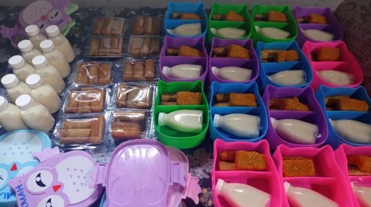 Pemerintah Desa Pandansari Senduro Lumajang Maksimalkan Program Kesehatan
