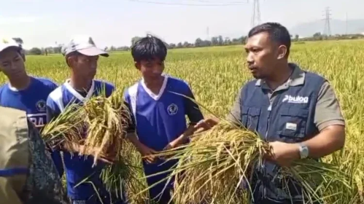 Dorong Literasi Pangan Bulog Jember Edukasi Siswa