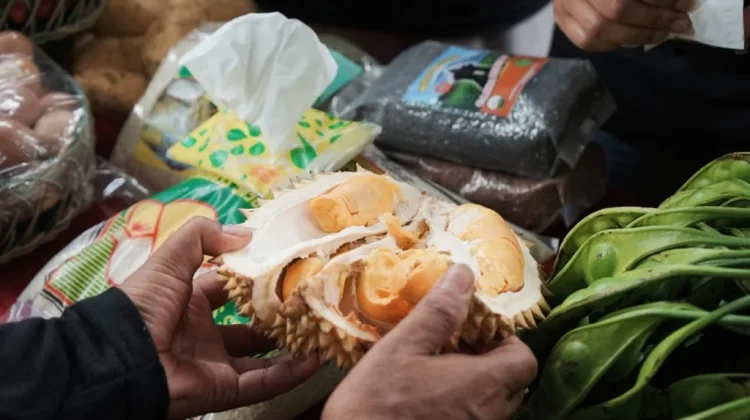 Cuaca Ekstrem, Pemkab Pastikan Kualitas Durian Lumajang Tetap Prima