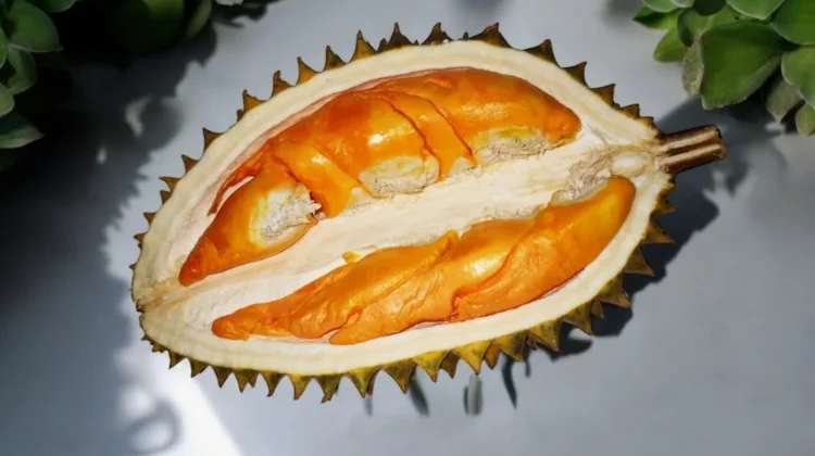 Cuaca Ekstrem, Pemkab Pastikan Kualitas Durian Lumajang Tetap Prima
