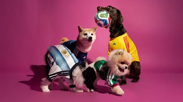 Adidas Rilis Jersey Piala Dunia 2026 untuk Hewan Peliharaan