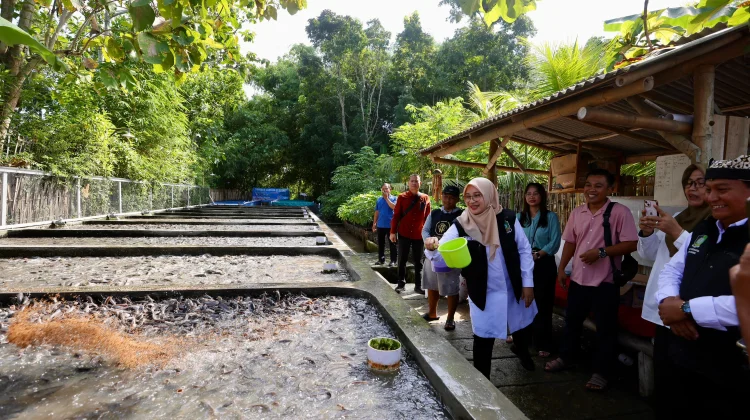 Budidaya Lele Air Jernih, Pemuda Banyuwangi Raup Omzet Ratusan Juta Rupiah