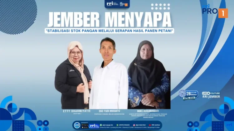 Bulog Bondowoso Serap 97 Persen Target Beras, Perkuat Ketahanan Pangan Daerah
