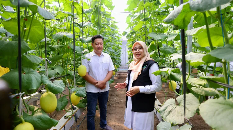 Dari Sarjana ke Petani, Anak Muda Banyuwangi Ubah Wajah Pertanian