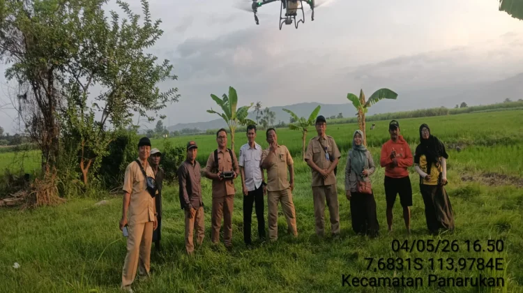 Dispertangan Sediakan Drone Sprayer Gratis bagi Petani