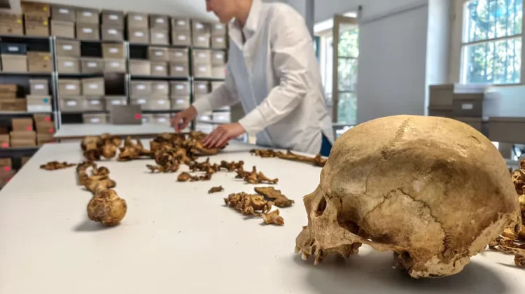 Studi DNA Ungkap Kehidupan Eropa setelah Runtuhnya Kekaisaran Romawi