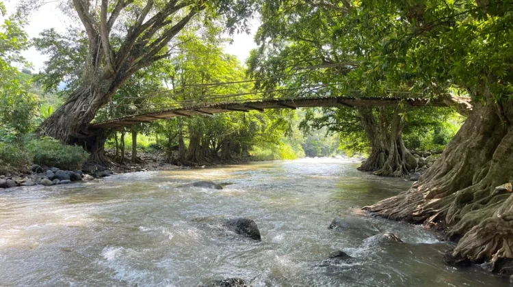Kedung Mayit Tempurejo Jadi Hidden Gem Wisata Alam di Jember