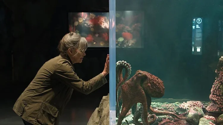 Remarkably Bright Creatures, Film Netflix tentang Kehilangan dan Harapan