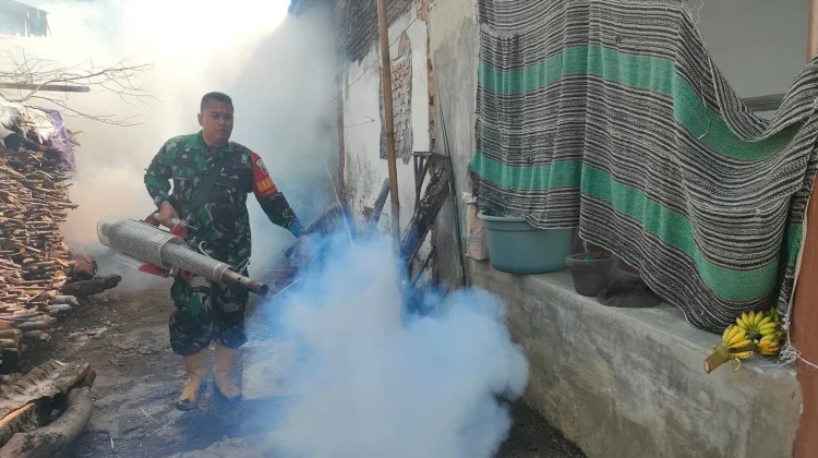 Petugas Kesehatan di Lumajang Cegah Penyakit DBD