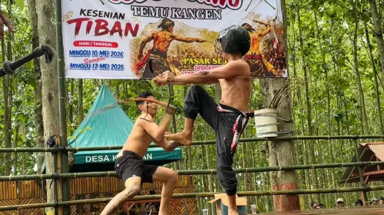 Tiban Sodo Purwo Hidupkan Tradisi Adu Pecut di Banyuwangi