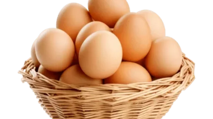 Saat Beli Telur, Pilih yang Putih atau Cokelat?
