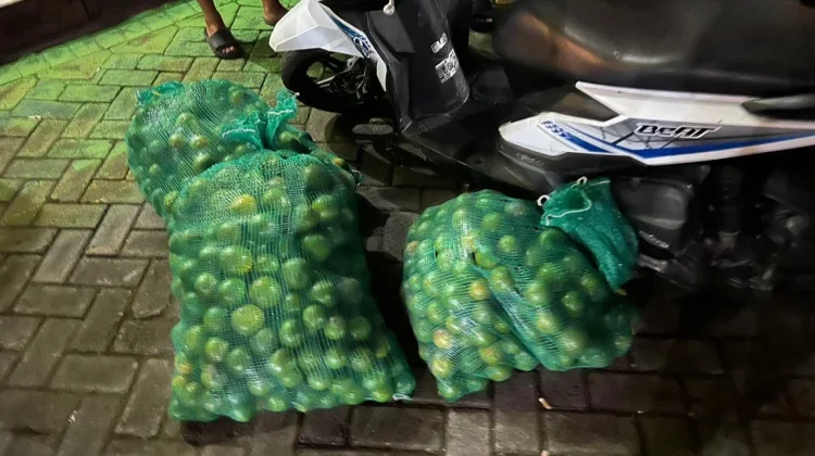 Pencuri Jeruk di Gambiran Banyuwangi Babak Belur Dihajar Warga