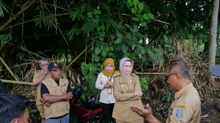 Bupati Lumajang Tinjau Lokasi Banjir