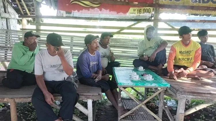 Hama Wereng Ancam Panen, Petani Jember Dibekali Teknik Pengendalian