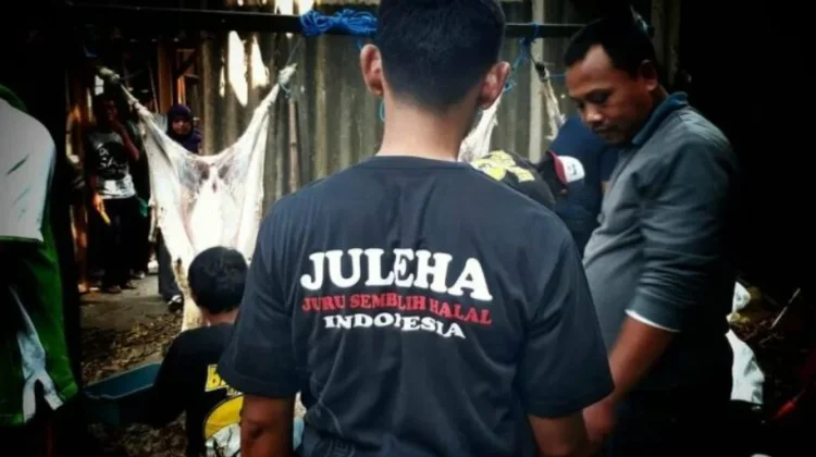 Mengenal JULEHA, Profesi Juru Sembelih Halal