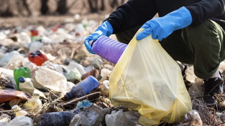 Hapus TPS Liar, Pemkot Jambi Genjot Program Pengelolaan Sampah OPBM