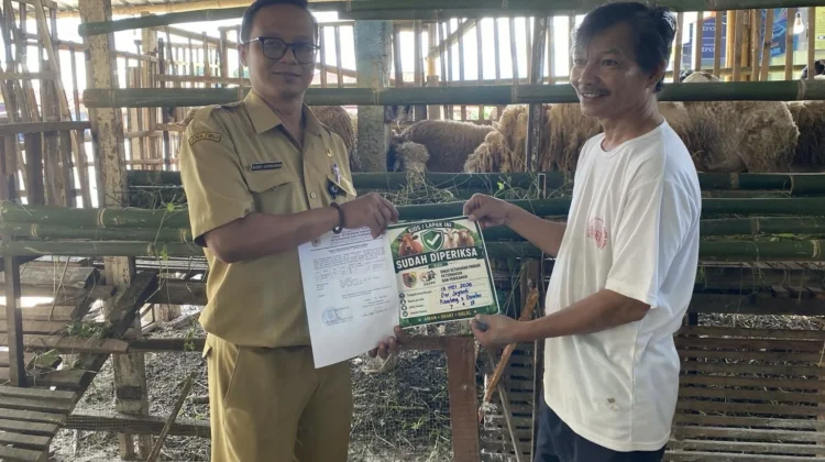 Jelang Iduladha, DKPPP Jember Pastikan Kesiapan Juru Sembelih