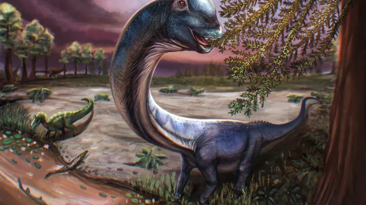 Fosil Dinosaurus Terbesar di Asia Tenggara Ditemukan di Thailand