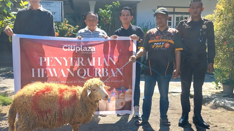 Semarak Idup Adha, Citiplaza Salurkan Hewan Kurban
