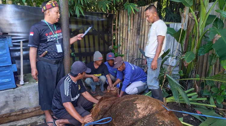 Warga Perumahan Pondok Bedadung  RT 03 Gelar Penyembelihan Kurban