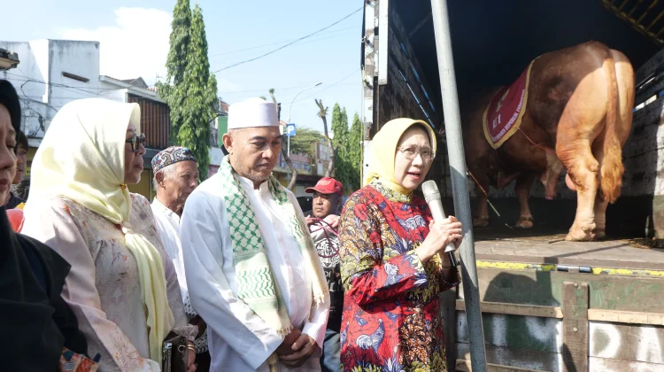 Bantuan Sapi Kurban Presiden Perkuat Peternak Lokal
