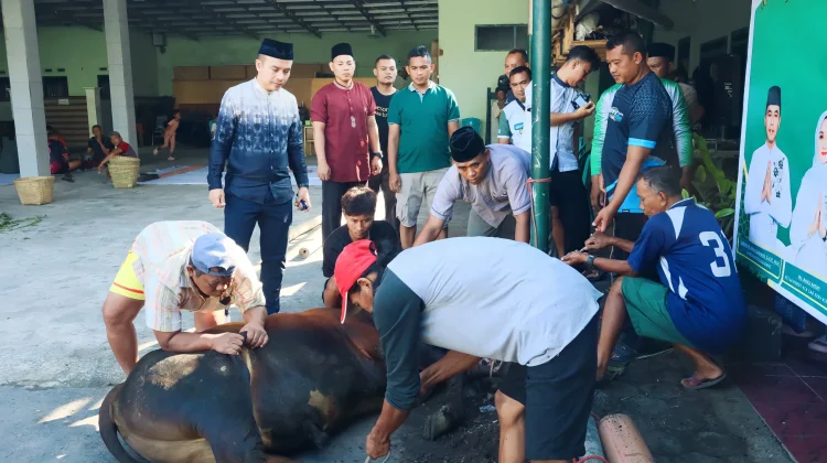 Kodim Lumajang Melaksanakan Penyembelihan Hewan Qurban