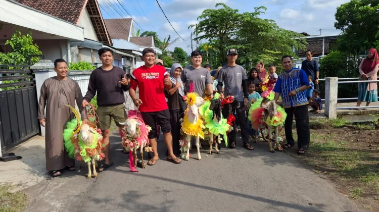Tradisi Idul Adha di Lumajang, Kambing Dirias dan Diarak sebelum Dikurbankan