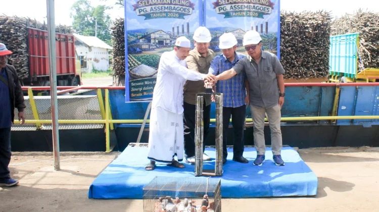 PG Assembagoes Mulai Aktivitas Giling Targetkan 540.760 ton