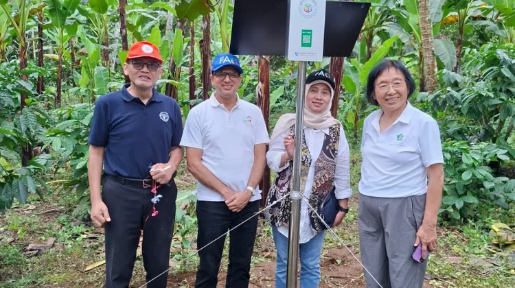 FAO Pasang Stasiun GIES Pertama di Indonesia untuk Pisang Kirana