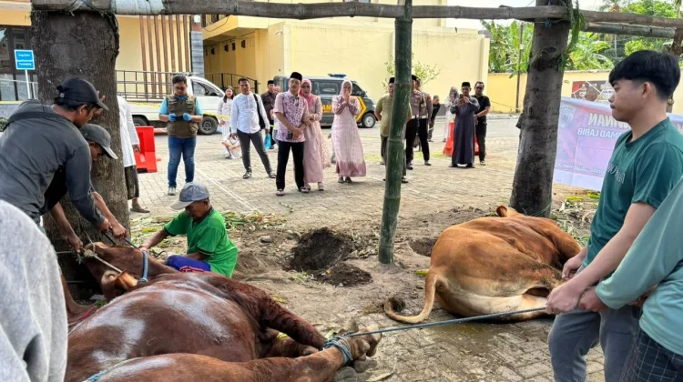 Iduladha, Polres Situbondo Sembelih 17 Ekor Hewan Kurban