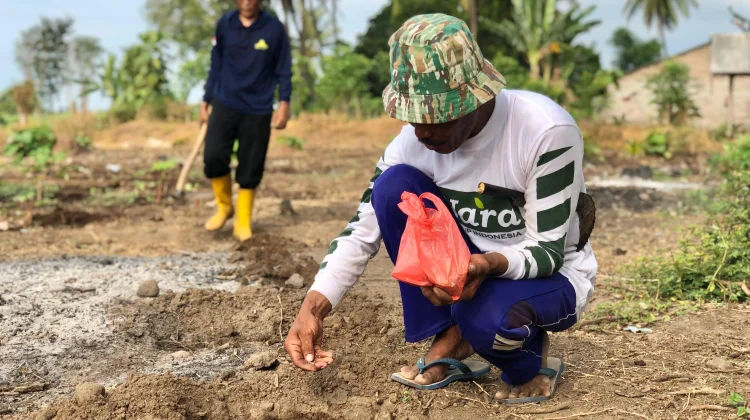 Rutan Situbondo Tanam Ratusan Bibit Labu Kuning