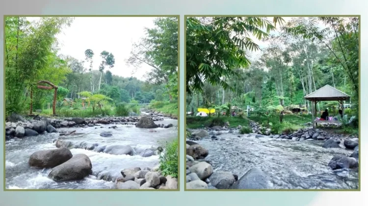 Wisata Sungai Asri yang Cocok untuk Liburan Keluarga
