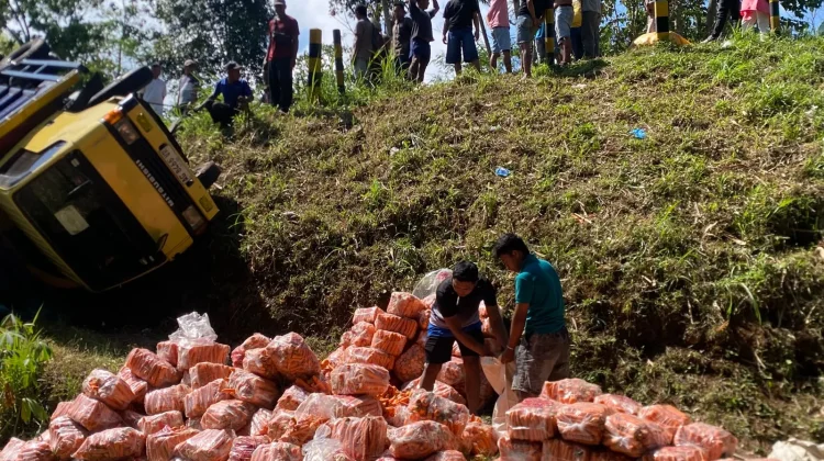 Truk Muat Wortel Masuk Jurang di Wringin