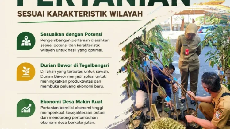 Lumajang Kembangkan Pertanian Sesuai Karakteristik Wilayah