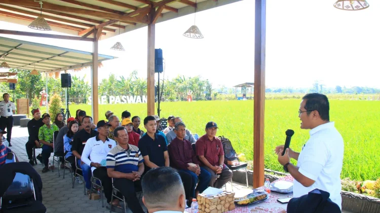 SAE Paswangi Banyuwangi Jadi Lokasi Penyuluhan Petani