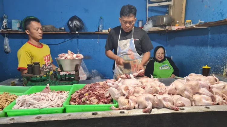 Harga Daging Ayam Broiler di Situbondo, Rp20.000