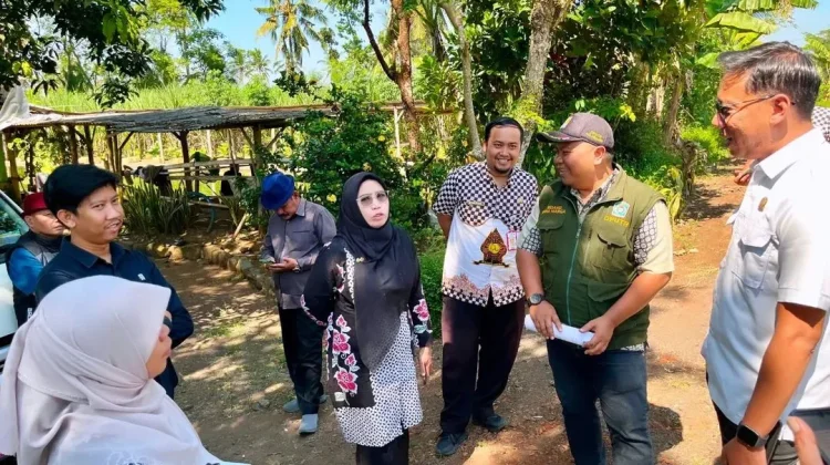 Komisi B DPRD Lumajang Tinjau Perbaikan Jalan di Klakah dan Kedungjajang