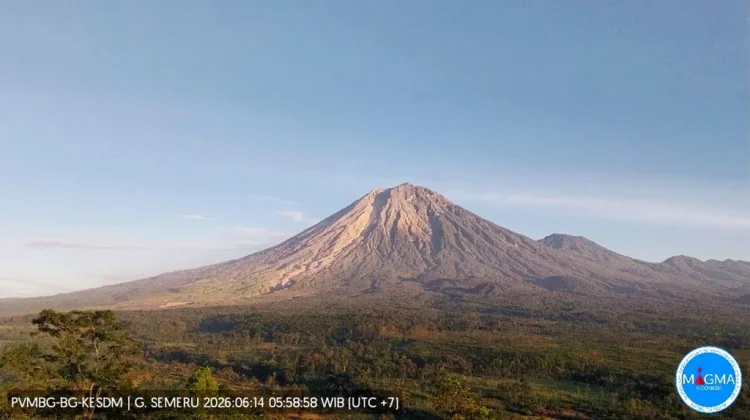 Kesiapsiagaan dan Informasi Resmi Jadi Kunci Mengurangi Risiko Bencana