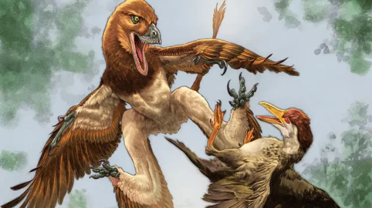 Dinosaurus Kerabat Velociraptor di China Diduga Gemar Memangsa Burung