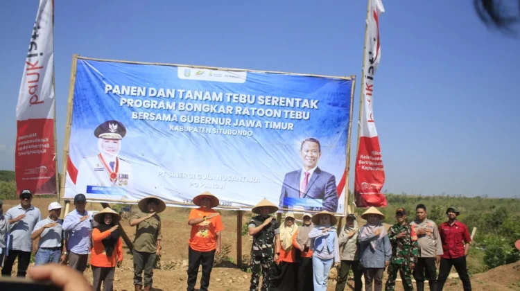 Perluasan Lahan Tebu di Situbondo Lebihi Target