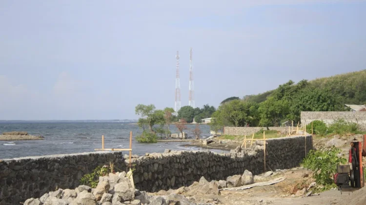 DLH Menyatakan, Perusahaan Disanksi Administratif karena Merusak Mangrove