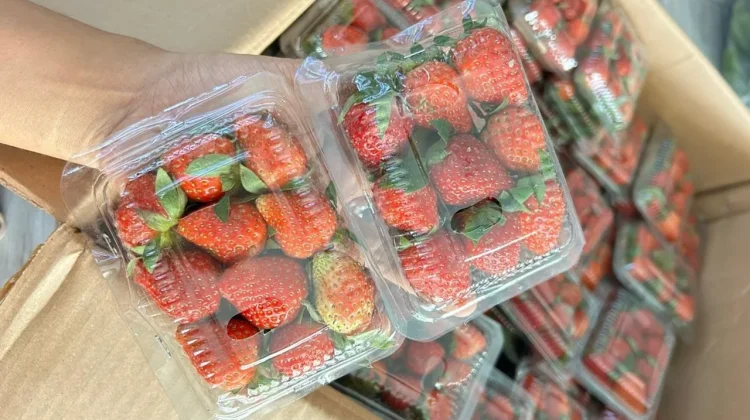 Strawberry, Buah Merah yang Baik untuk Menunjang Performa Atlet Sepak Bola