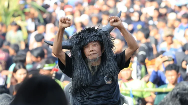 Saat Warga Menjadi Kerbau, Merawat Warisan Keboan Aliyan