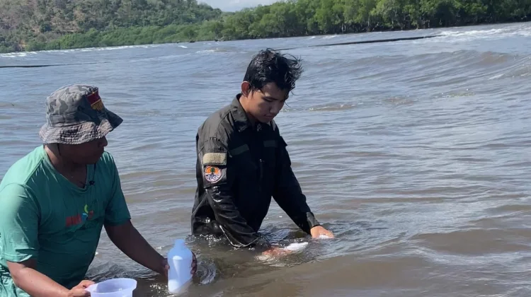 DLH Ambil Sampel Air Laut Diduga Tercemar Limbah