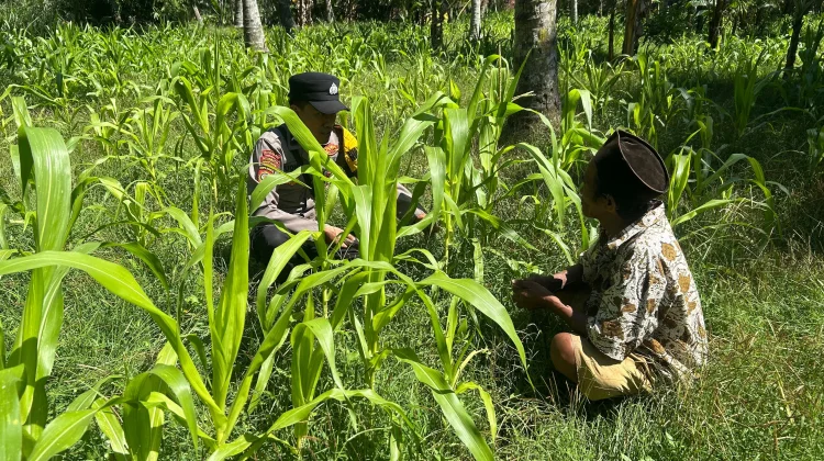 Petani Ranuyoso Lumajang Sukseskan Asta Cita